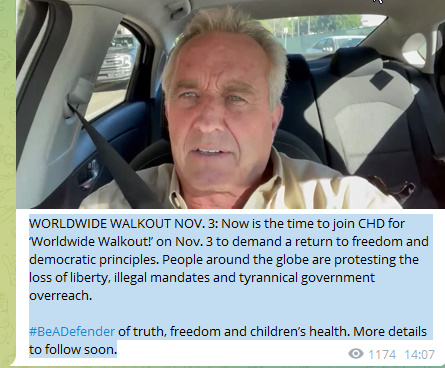 WORLDWIDE WALKOUTNOV. 3 NowIsTheTimeToJoinCHDfor ‘WorldwideWalkout!’Nov3ToDemandaReturnToFeedomAndDemocraticPrinciplesPh1 WORLDWIDE WALKOUTNOV. 3 NowIsTheTimeToJoinCHDfor ‘WorldwideWalkout!’Nov3ToDemandaReturnToFeedomAndDemocraticPrinciples